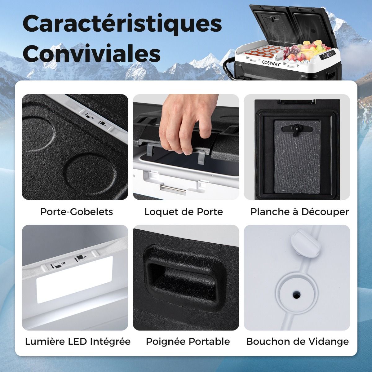 Portable Electric Cool Box Dual Zone 40L Car Refrigerator 12 V Compressor -20℃ ~ 2012/24V DC and 100-240V AC Black -