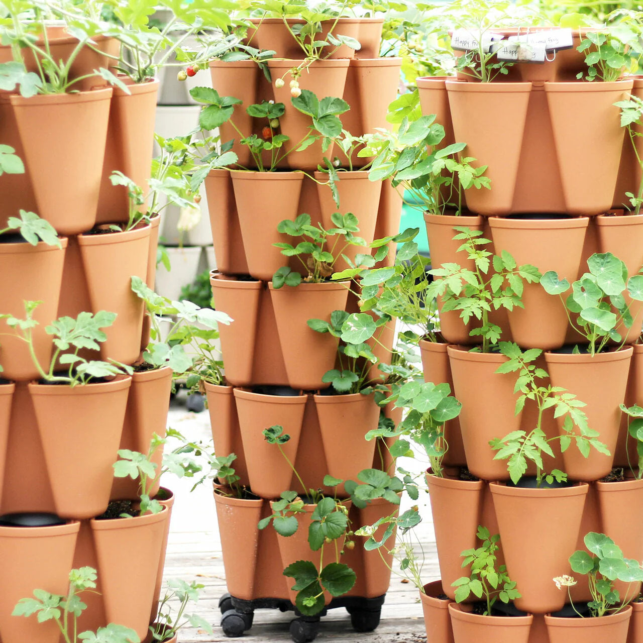 GreenStalk 5 Tier Vertical Planter - Product image 3