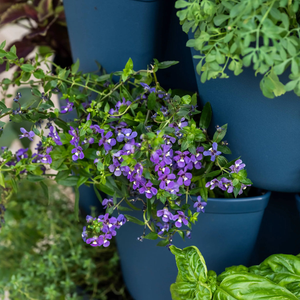 GreenStalk 5 Tier Vertical Planter - Product image 15