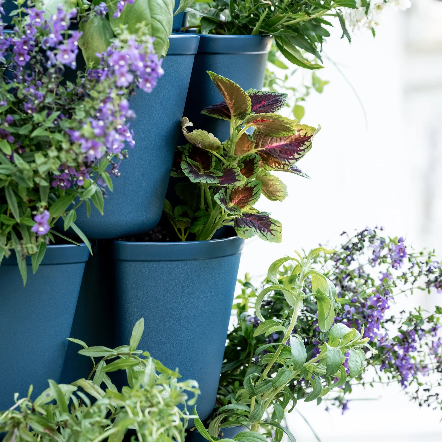 GreenStalk 5 Tier Vertical Planter - Product image 16