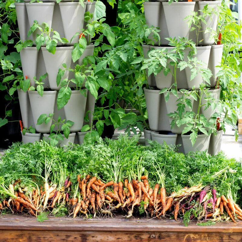 GreenStalk 5 Tier Vertical Planter - Product image 11