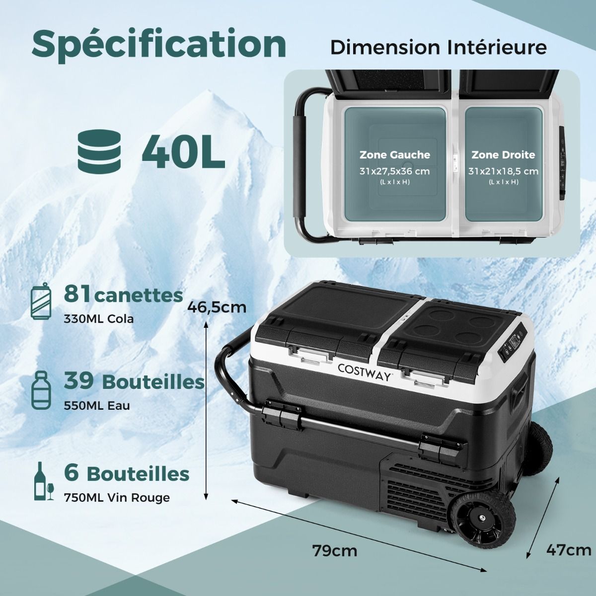 Portable Electric Cool Box Dual Zone 40L Car Refrigerator 12 V Compressor -20℃ ~ 2012/24V DC and 100-240V AC Black -